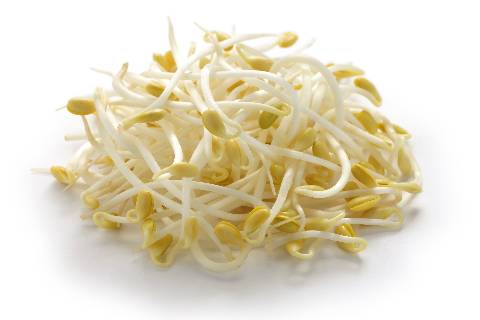 Kongnamul Soybean Sprouts