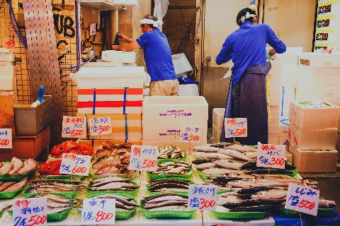 13 japanische Fischarten - Super lecker! verschiedene Varianten von Fischen