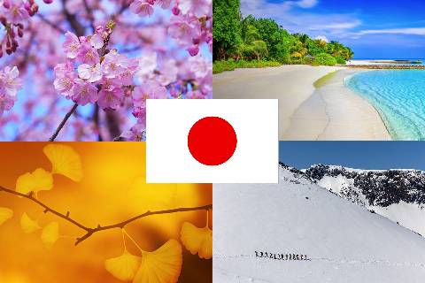 Wann sollte ich nach Japan reisen? Im Frühling, Sommer, Herbst oder doch im Winter?