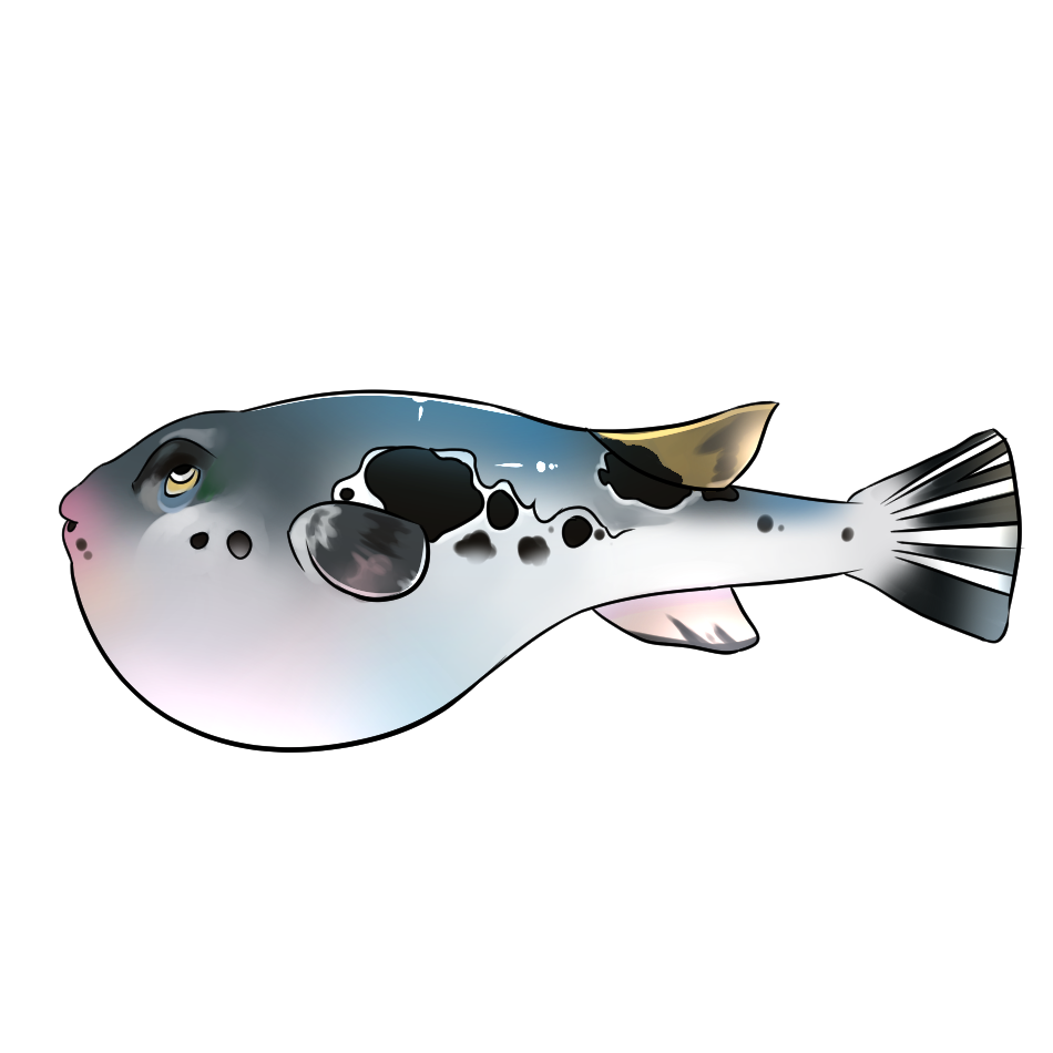 Fugu Japanischer Kugelfisch