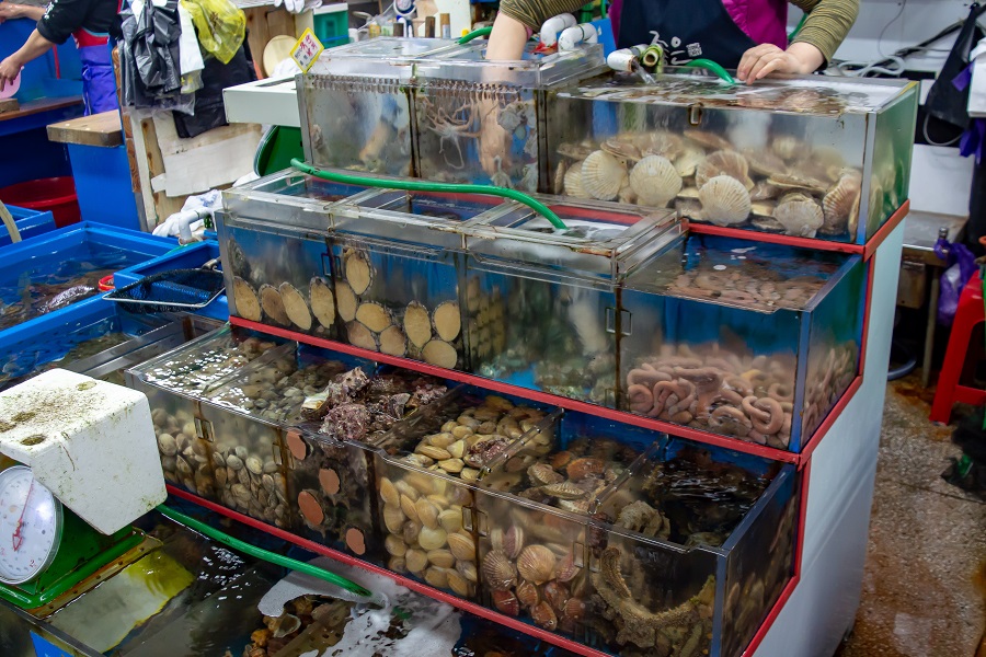 Korean fish market - Store of a seller